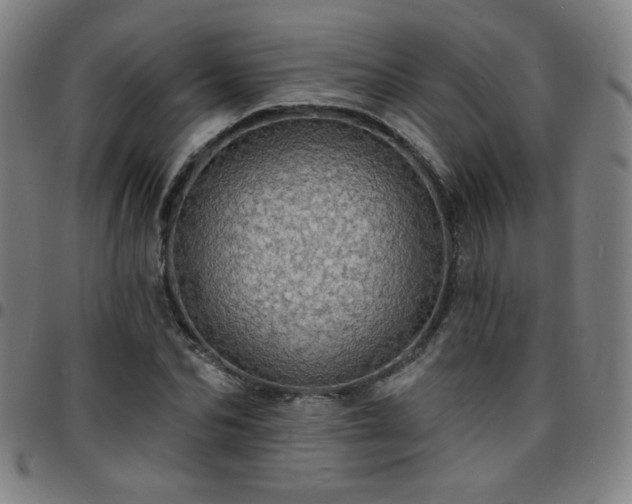 X0000097670974200803071551