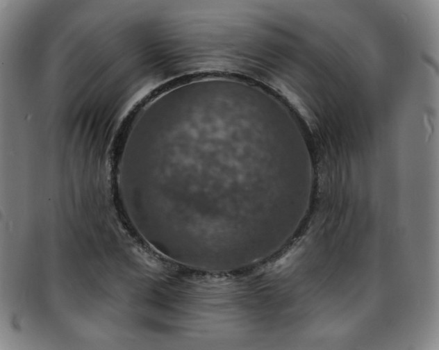 X0000097670975200803071551
