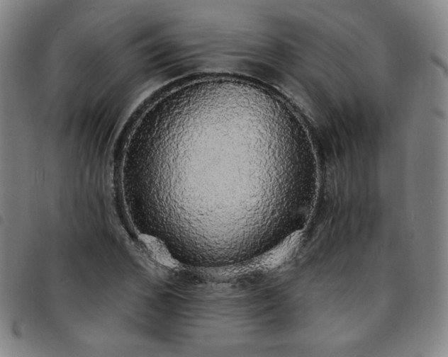 X0000097670976200803071551