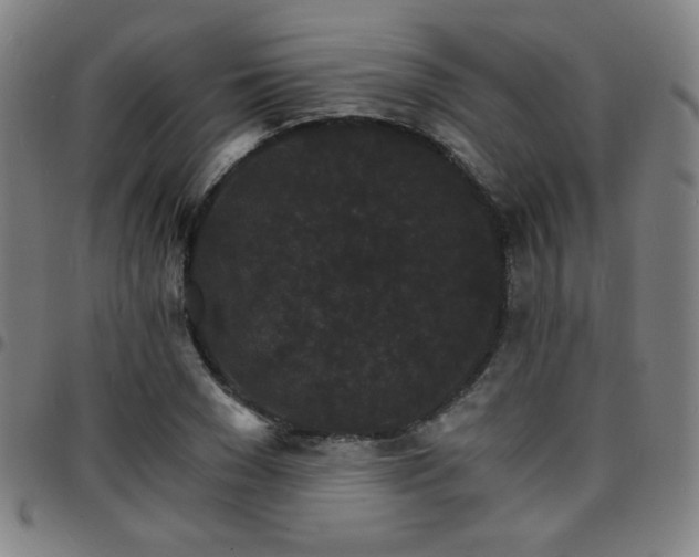 X0000097670977200803071551