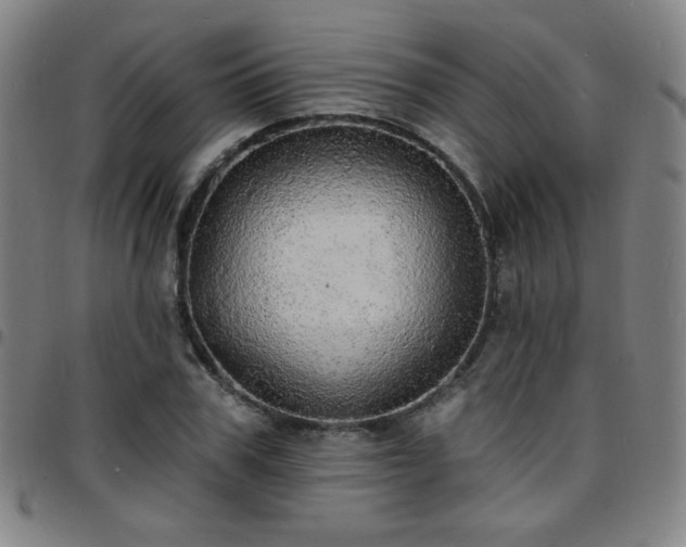 X0000097670979200803071551