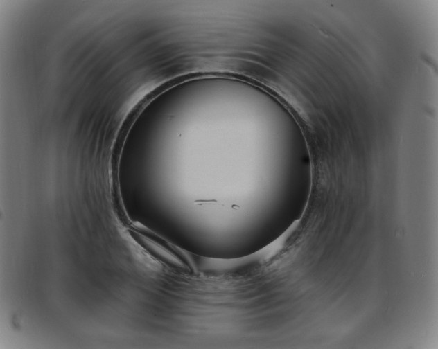 X0000097670980200803071551