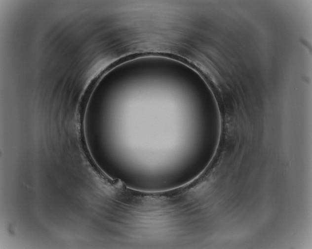 X0000097670981200803071551