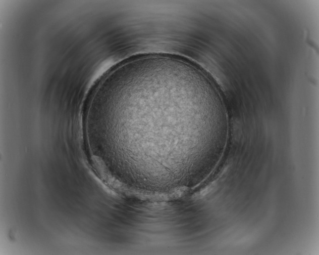 X0000097670982200803071551