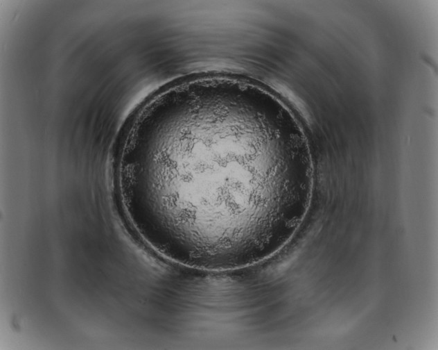X0000097670983200803071551