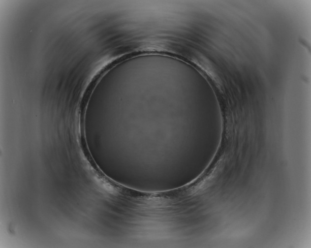 X0000097670984200803071551