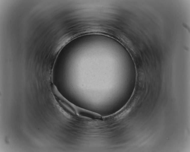 X0000097670985200803071551