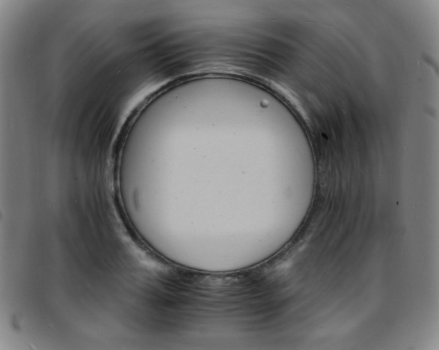 X0000097670987200803071551