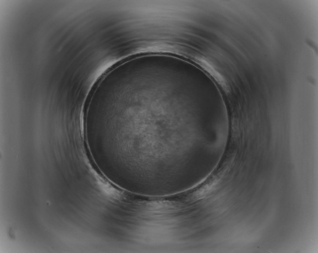 X0000097670988200803071551