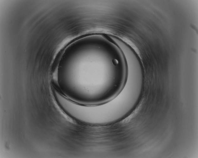 X0000097670989200803071551
