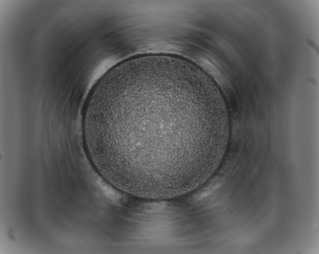 X0000097670990200803071551