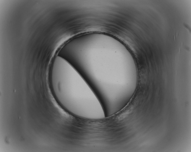 X0000097670991200803071551