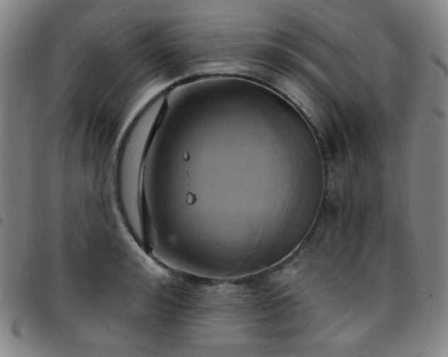 X0000097670992200803071551