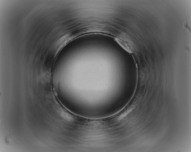 X0000097670993200803071551