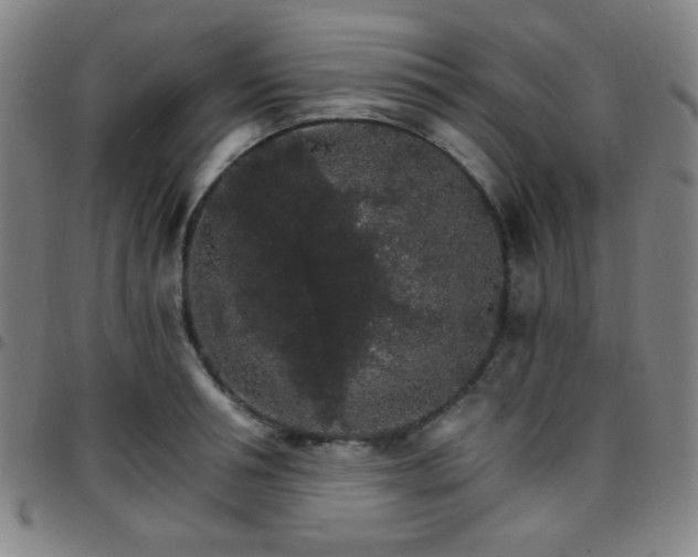 X0000097670994200803071551