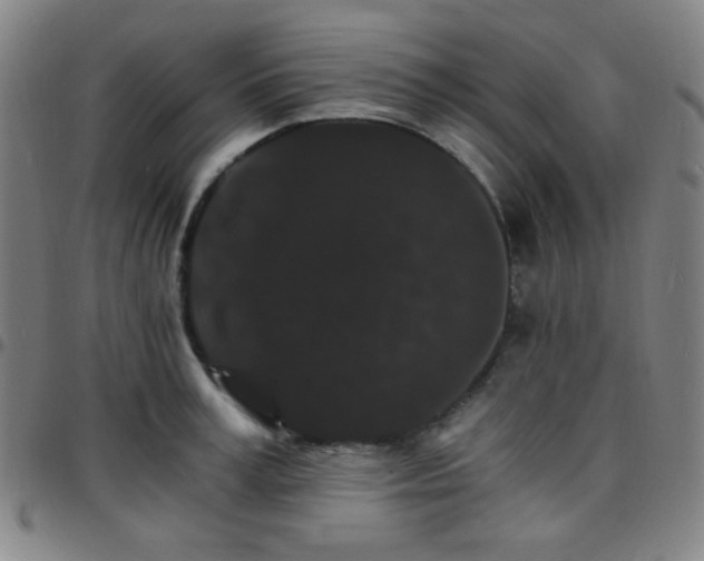 X0000097670995200803071551