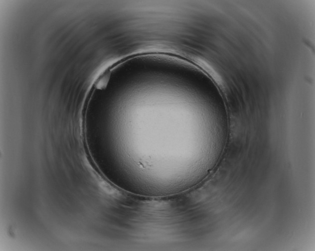 X0000097670996200803071551