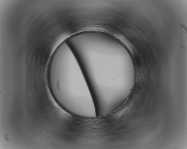 X0000097670999200803071551
