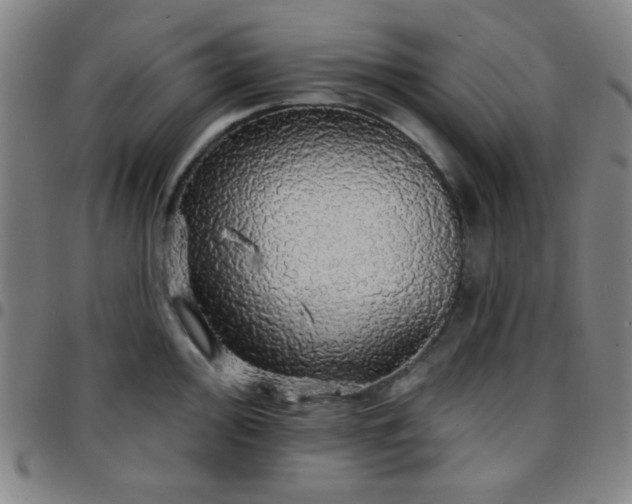X0000097671000200803071551