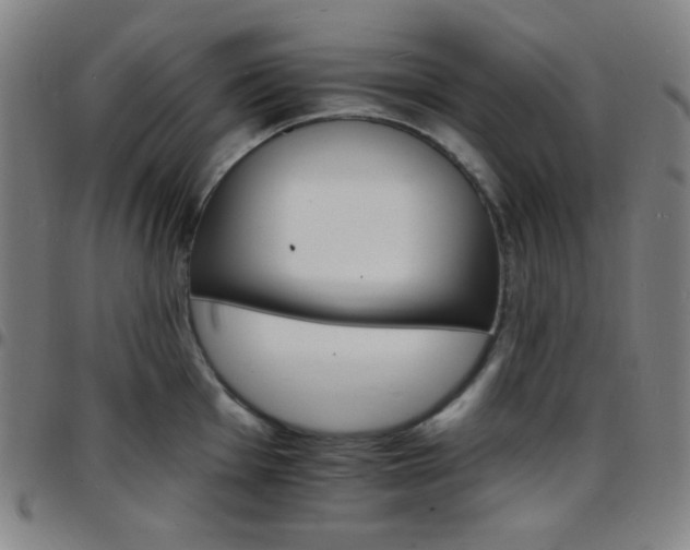 X0000097671001200803071551
