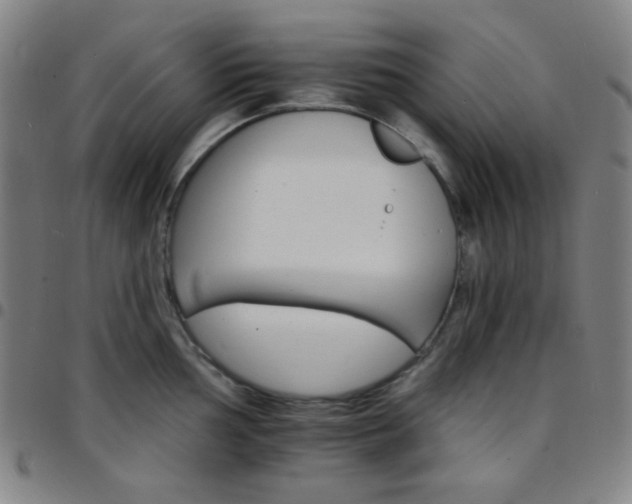 X0000097671002200803071551