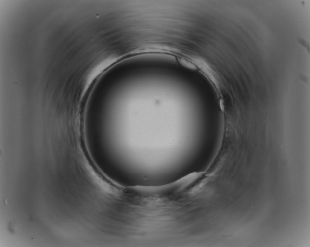 X0000097671003200803071551