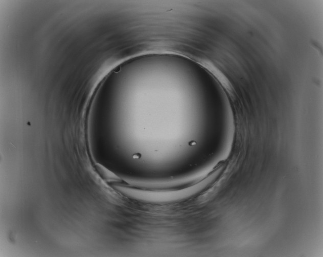 X0000097671004200803071551