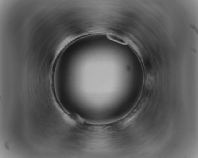 X0000097671005200803071551