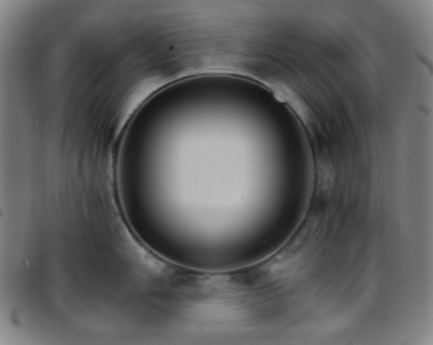 X0000097671006200803071551