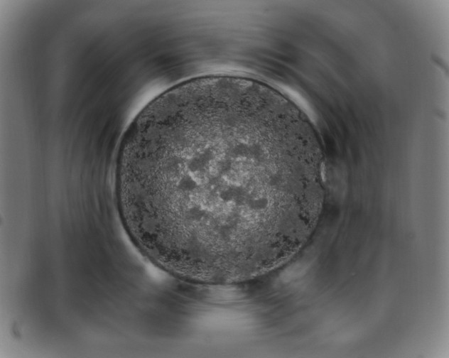 X0000097671007200803071551