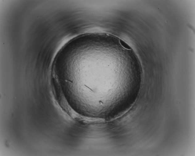 X0000097671008200803071551