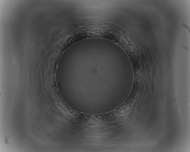 X0000097671009200803071550
