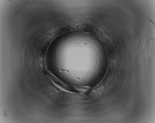 X0000097671010200803071550