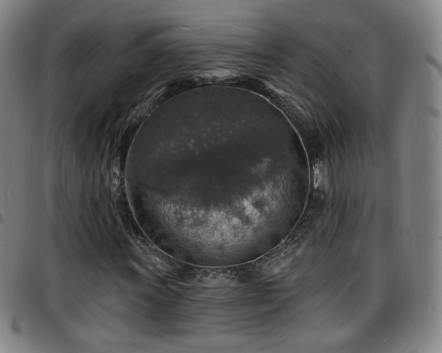X0000097671011200803071550