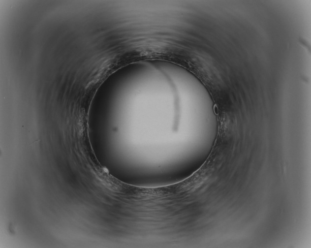 X0000097671012200803071550