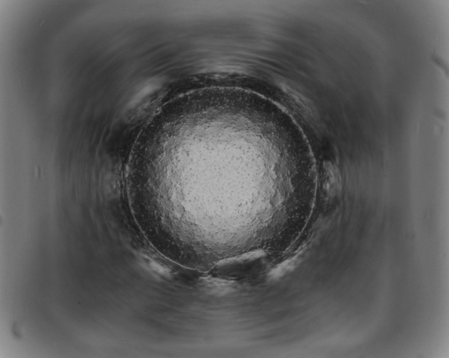 X0000097671014200803071550
