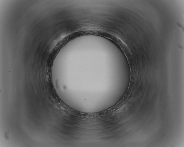X0000097671016200803071550