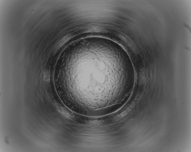 X0000097671017200803071550