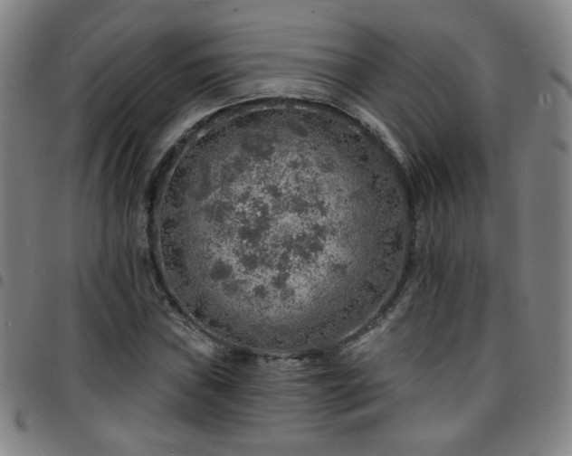 X0000097671019200803071550