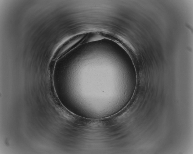 X0000097671021200803071550