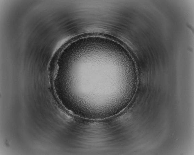 X0000097671022200803071550