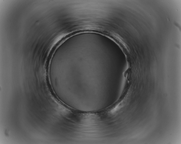 X0000097671024200803071550