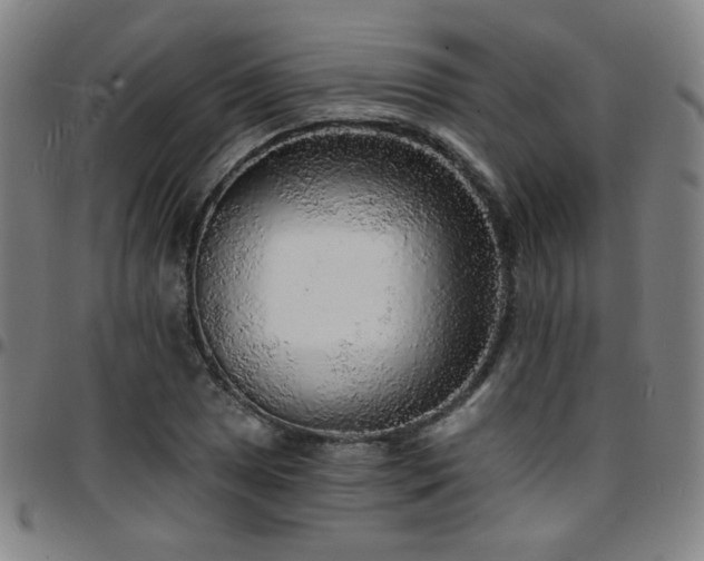 X0000097671025200803071550