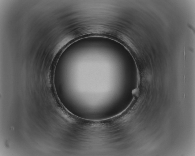 X0000097671026200803071550