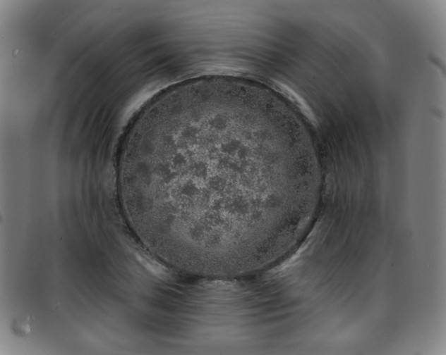 X0000097671027200803071550