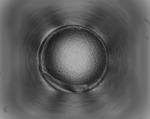 X0000097671028200803071550