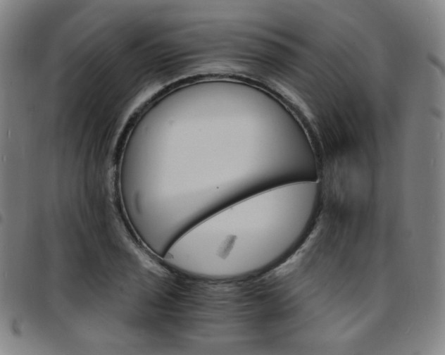 X0000097671029200803071550