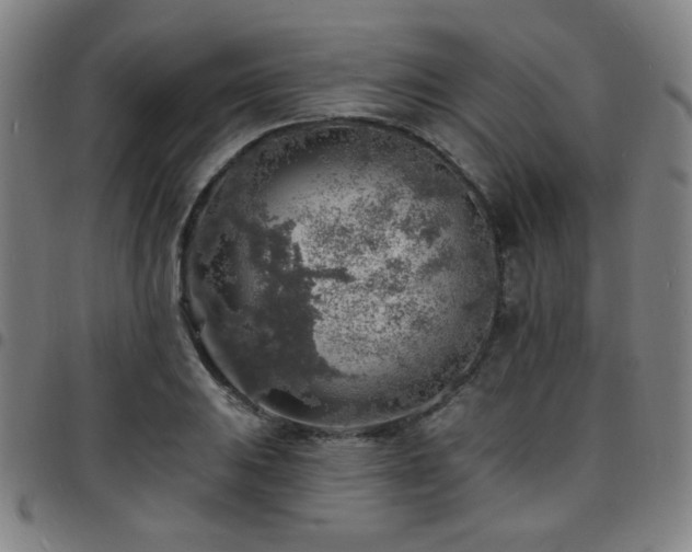 X0000097671031200803071550