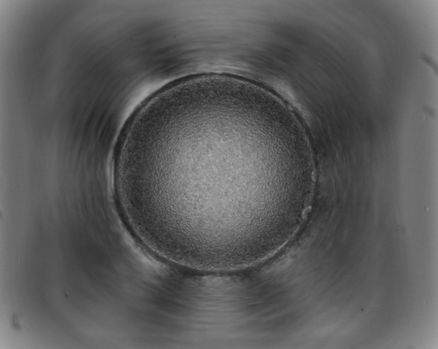 X0000097671032200803071550