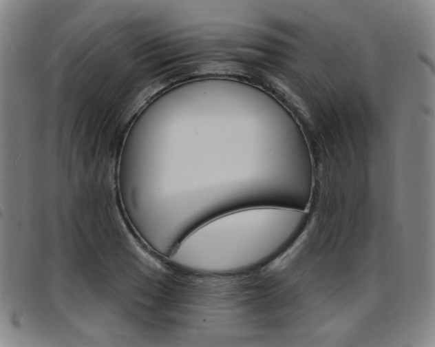 X0000097671033200803071550